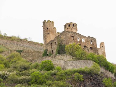 Almanya 'da Ren Nehri üzerinde nehir gezisi