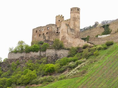 Almanya 'da Ren Nehri üzerinde nehir gezisi