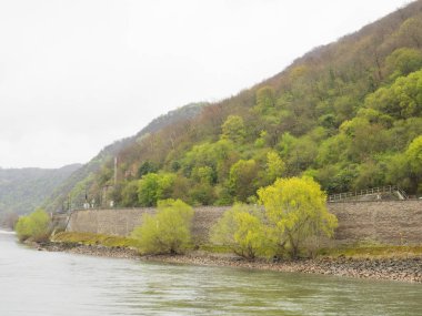 Almanya 'da Ren Nehri üzerinde nehir gezisi