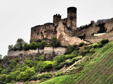 Almanya 'da Ren Nehri üzerinde nehir gezisi