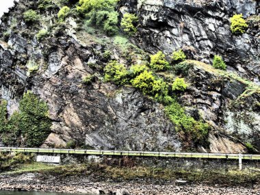 Almanya 'da Ren Nehri üzerinde nehir gezisi