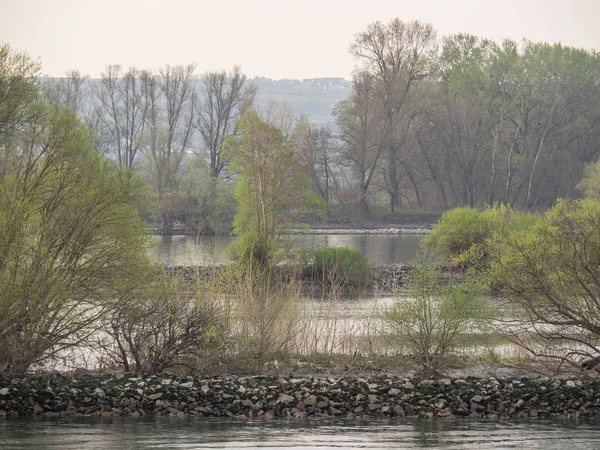 Flusskreuzfahrt Auf Dem Rhein Deutschland — Stockfoto