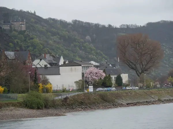 River Cruise Rhine Germany — Stock Photo, Image