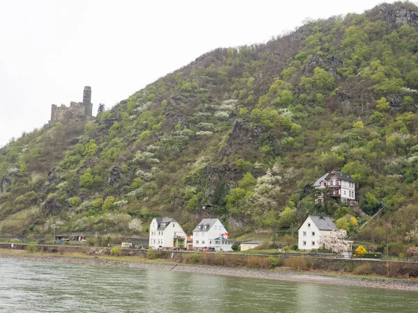 Almanya Ren Nehri Üzerinde Nehir Gezisi — Stok fotoğraf