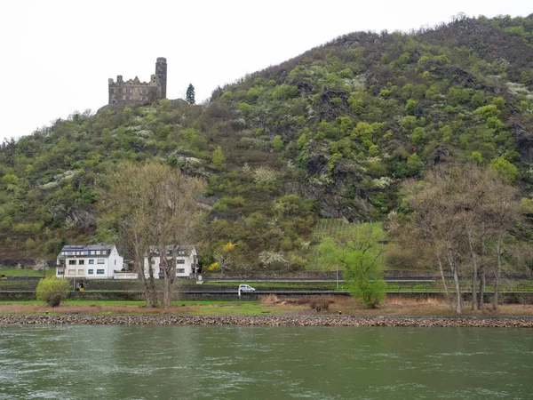 Crociera Fluviale Sul Reno Germania — Foto Stock