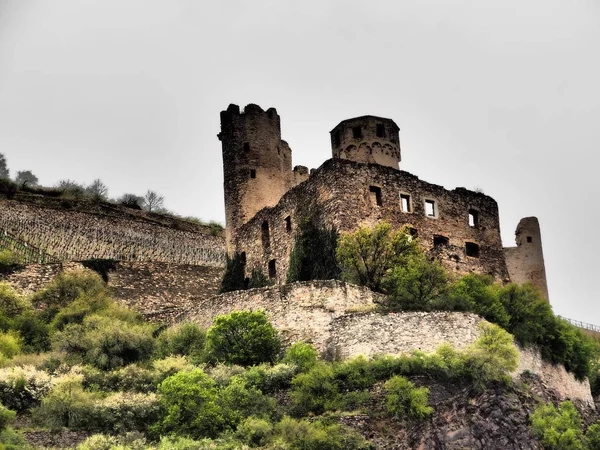 Almanya Ren Nehri Üzerinde Nehir Gezisi — Stok fotoğraf