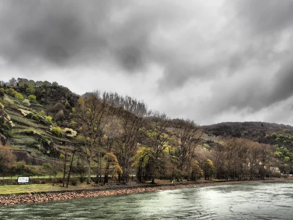 Almanya Ren Nehri Üzerinde Nehir Gezisi — Stok fotoğraf