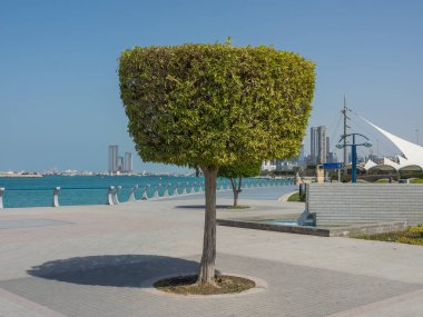 Abu Dabi emirates içinde