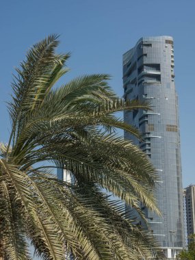 Abu Dabi emirates içinde