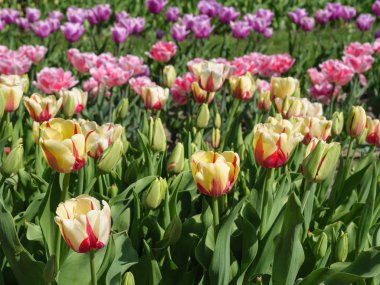 Almanya 'da küçük bir şehir.