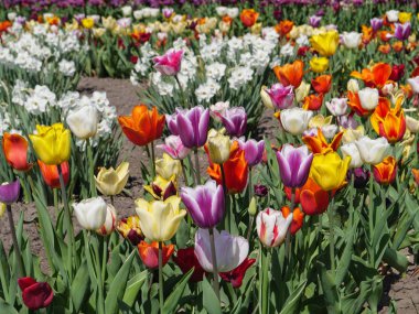 Almanya 'da küçük bir şehir.
