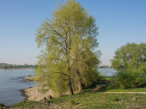 Fiume Reno Germania — Foto Stock