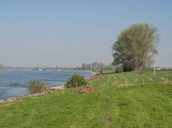 河莱茵河在德国 — 图库照片