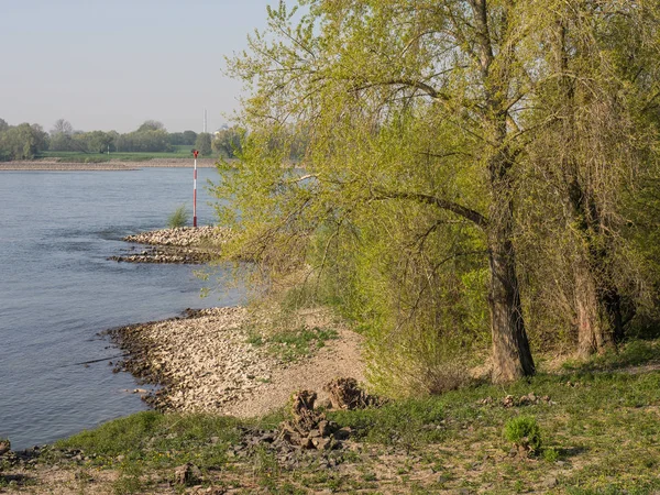 Rio Rhine Alemanha — Fotografia de Stock