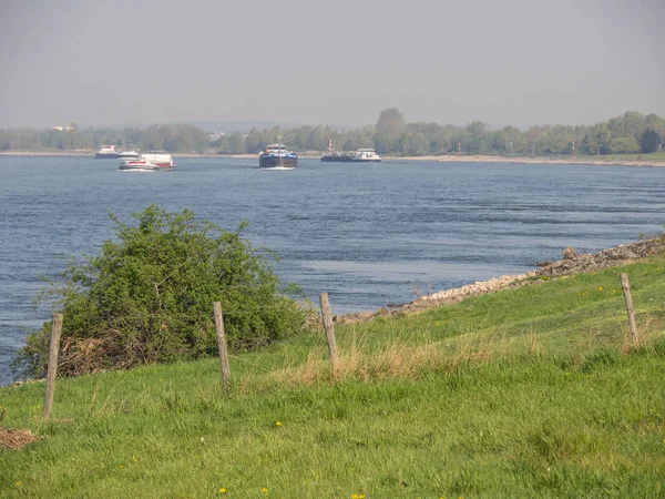 Rivier Rijn Duitsland — Stockfoto