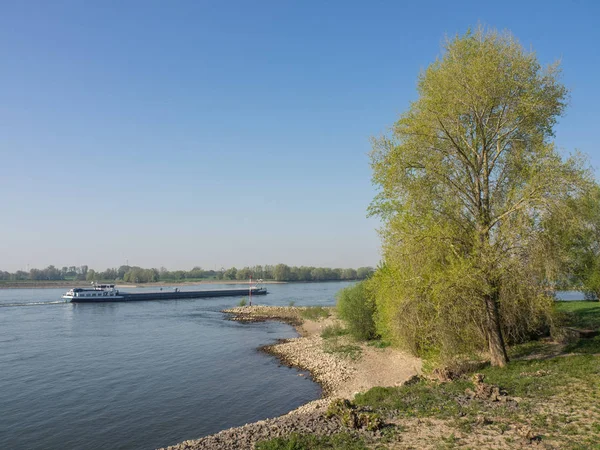 Речной Рейн Германии — стоковое фото