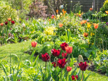 Alman bahçesinde bahar geldi.