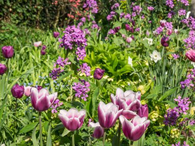 Alman bahçesinde bahar geldi.
