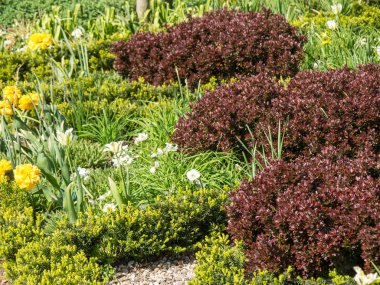 bredevoort ve durch şehir