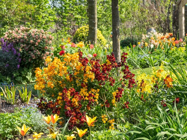 spring time in a german garden