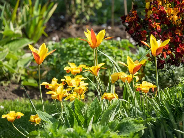 Alman bahçesinde bahar geldi.