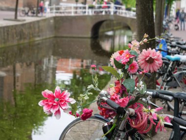 Hollanda'da delft şehri