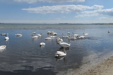 Polonya ve Baltık Denizi'nde Gdansk