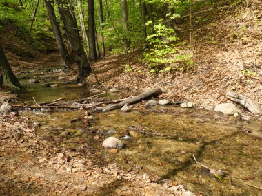 Polonya ve Baltık Denizi'nde Gdansk