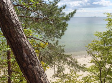 Polonya ve Baltık Denizi'nde Gdansk