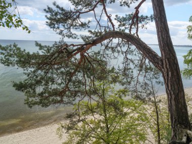 Polonya ve Baltık Denizi'nde Gdansk