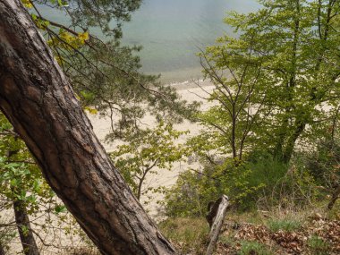 Polonya ve Baltık Denizi'nde Gdansk