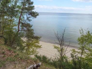 Polonya ve Baltık Denizi'nde Gdansk