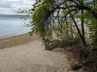 Polonya ve Baltık Denizi'nde Gdansk