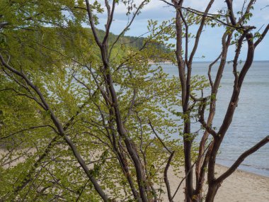 Polonya ve Baltık Denizi'nde Gdansk