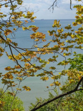 Polonya ve Baltık Denizi'nde Gdansk