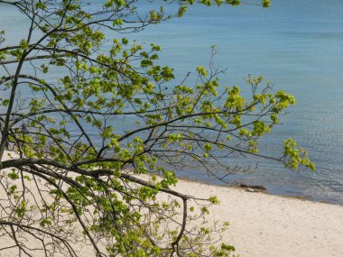 Polonya ve Baltık Denizi'nde Gdansk