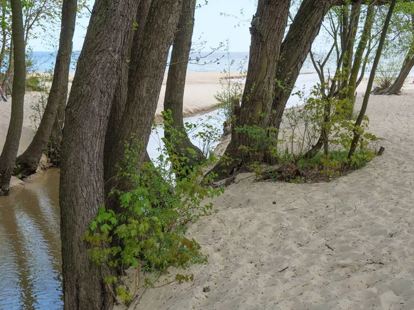 Gdansk Polen Och Östersjön — Stockfoto