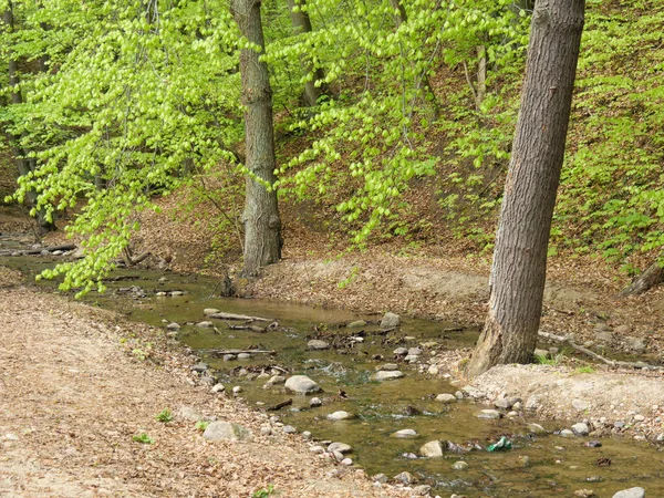 Danzica Polonia Nel Mar Baltico — Foto Stock