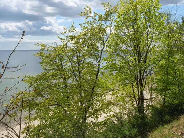 Гданьск Польше Балтийском Море — стоковое фото