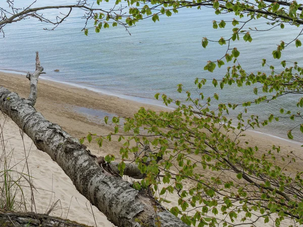 Danzig Polen Und Der Ostsee — Stockfoto