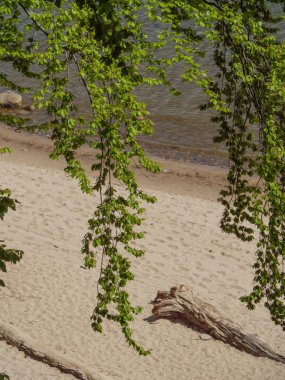 Polonya ve Baltık Denizi'nde Gdansk