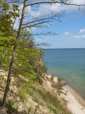 Polonya ve Baltık Denizi'nde Gdansk