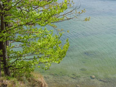 Polonya ve Baltık Denizi'nde Gdansk