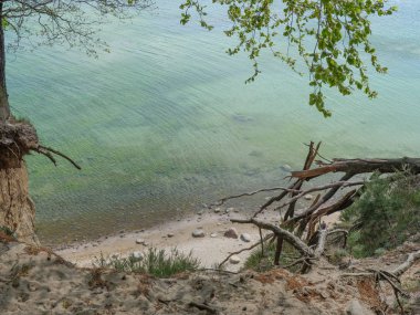 Polonya ve Baltık Denizi'nde Gdansk
