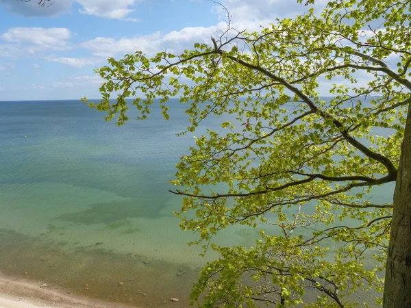 Гданьск Польше Балтийском Море — стоковое фото