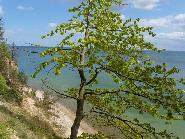 Гданьск Польше Балтийском Море — стоковое фото