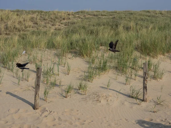 Katwijk Zee Město Leiden Nizozemsku — Stock fotografie