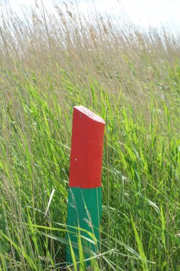 Almanya'da baltrum küçük ada