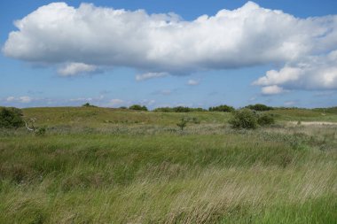 Almanya'da baltrum küçük ada