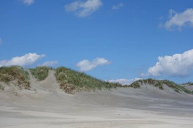 Almanya'da baltrum küçük ada